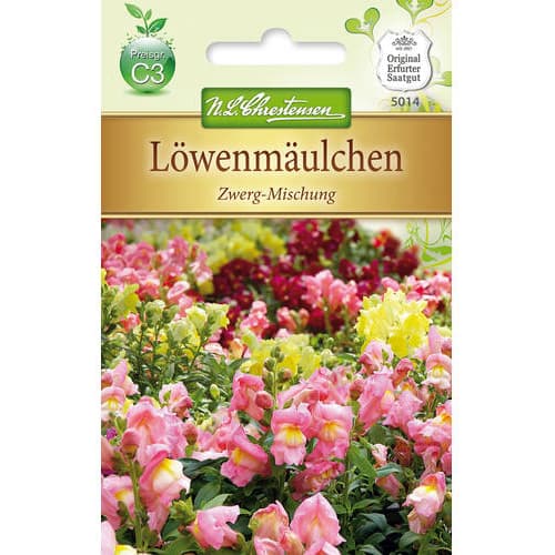 Ниски кученца смес       артикул фото 1 Ниски кученца смес       изображение 1 артикул 78889